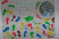 /album/eco-codigo/sam-1302-jpg/