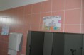 /album/galeria-de-trabalhos/a85-jpg/