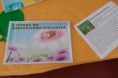 /album/galeria-de-trabalhos/sam-0871-jpg/
