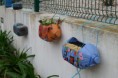 /album/horta-bio/a210-jpg/